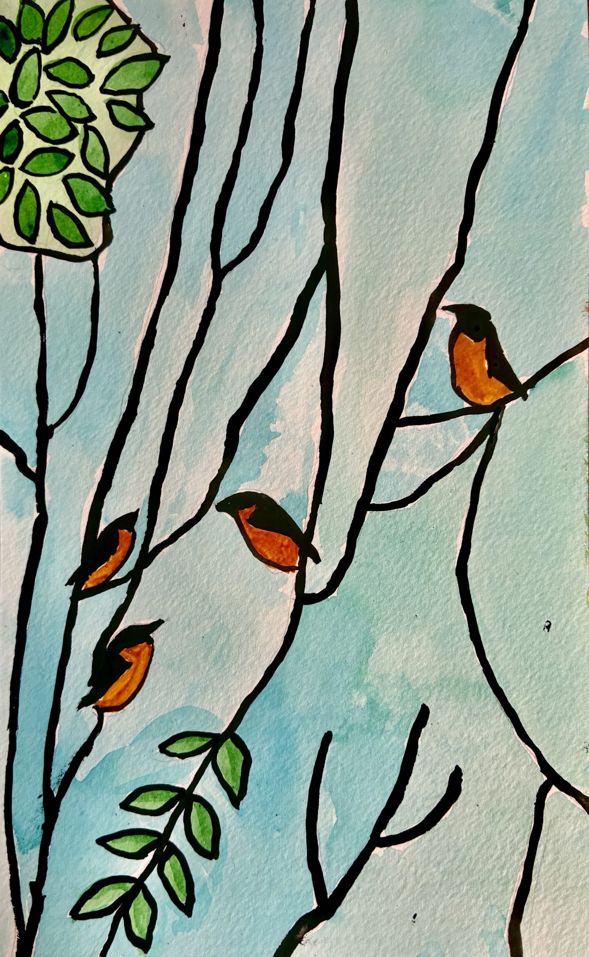 Orioles